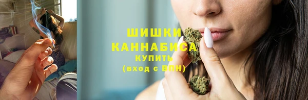 шишки Ладушкин