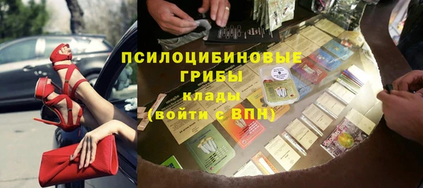 шишки Ладушкин