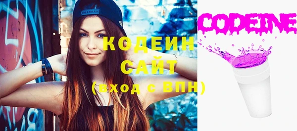 шишки Ладушкин