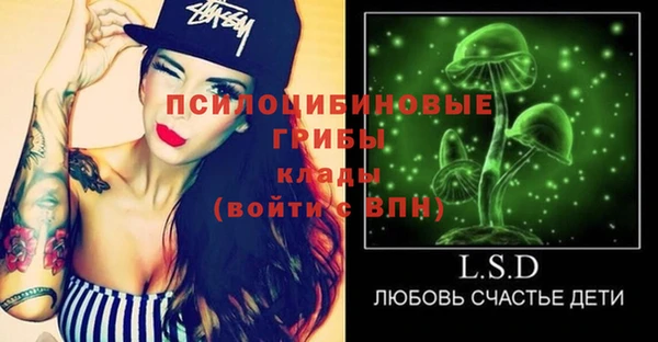 шишки Ладушкин