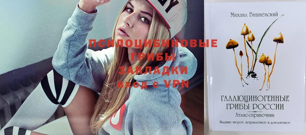 шишки Ладушкин